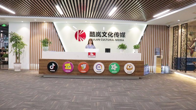 公关传播案例范文PPT模板：如何打造专业演示**