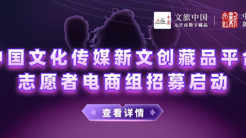 直播代运营合同：揭秘关键条款与风险防范